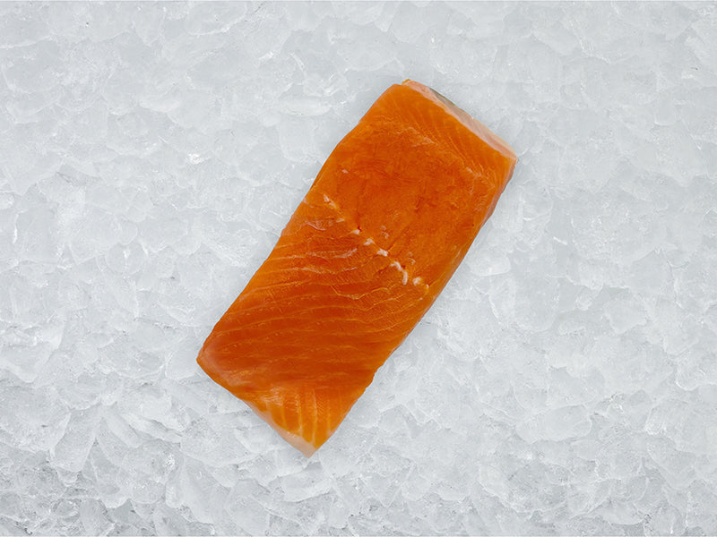 Arctic Char Portion on Ice