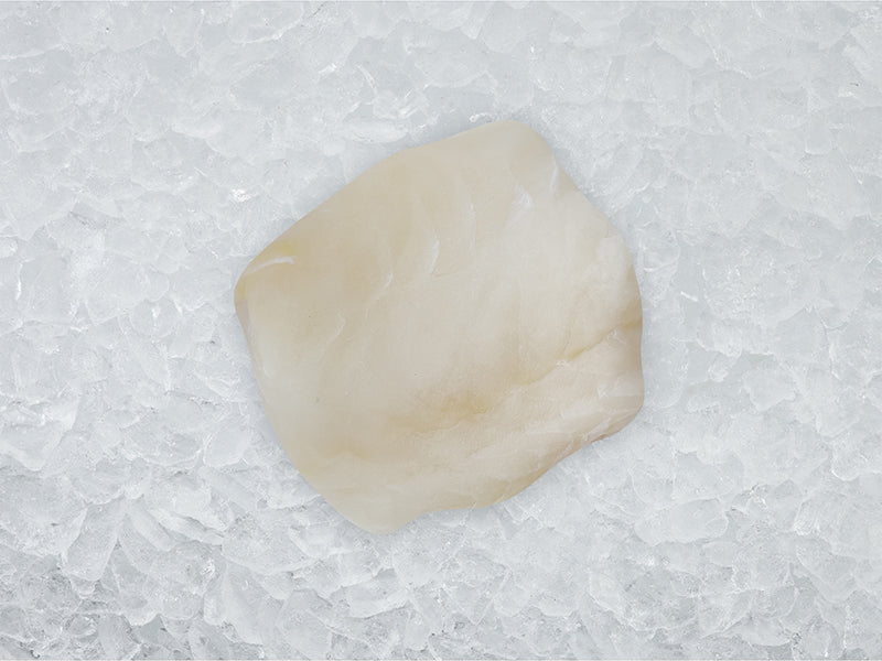 Wild Atlantic Cod Portion on Ice