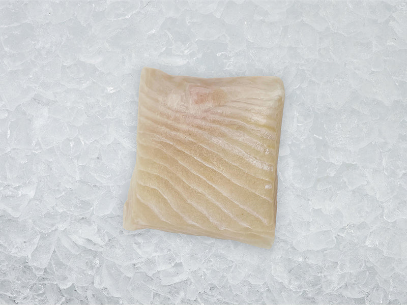 Atlantic Halibut Portion on Ice