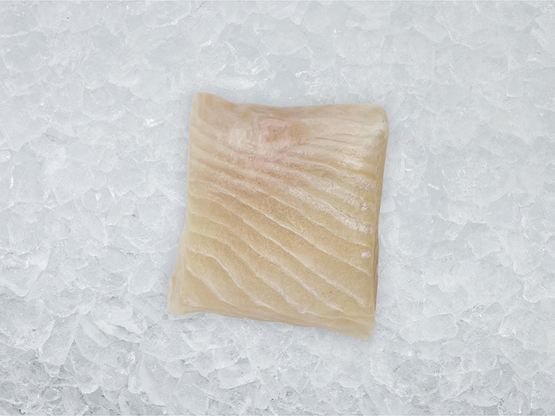 Atlantic Halibut Portion on Ice