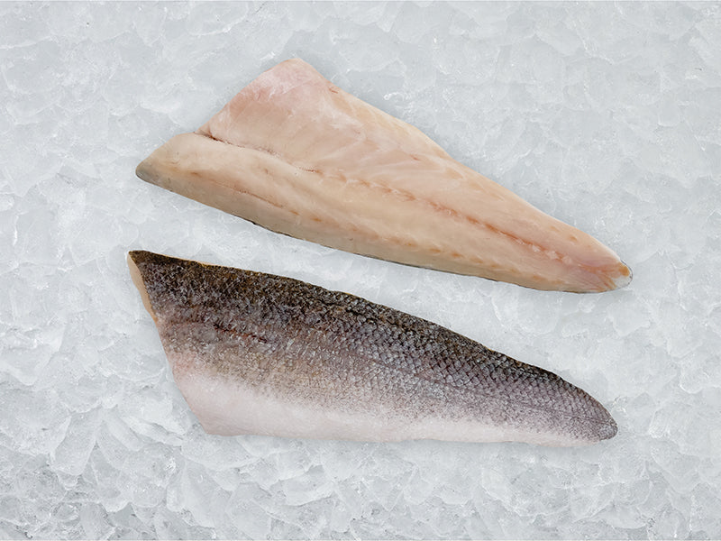 Branzino Fillet on Ice