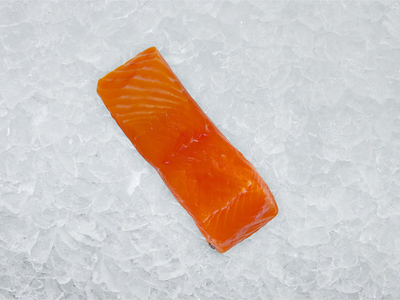 King Salmon Portion on Ice