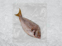 Wild butterflied porgy back of package on ice