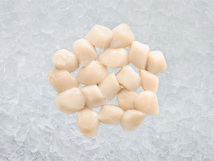Fulton's Finest Dry Sea Scallops on Ice
