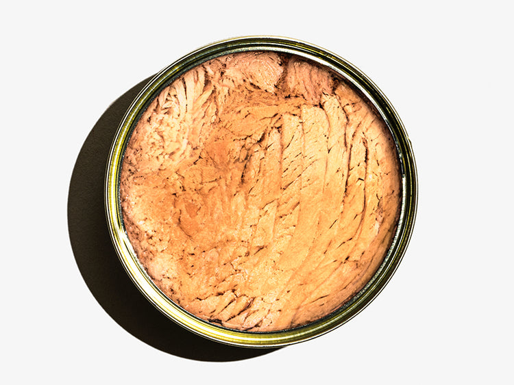 Open Tin of Fishwife Albacore Tuna in Olive Oil