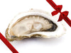 Close Up of Shucked Large Goose Flat Oyster with Gift Bow Graphic on Top Right