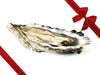 Hood Canal Oyster with Gift Ribbon