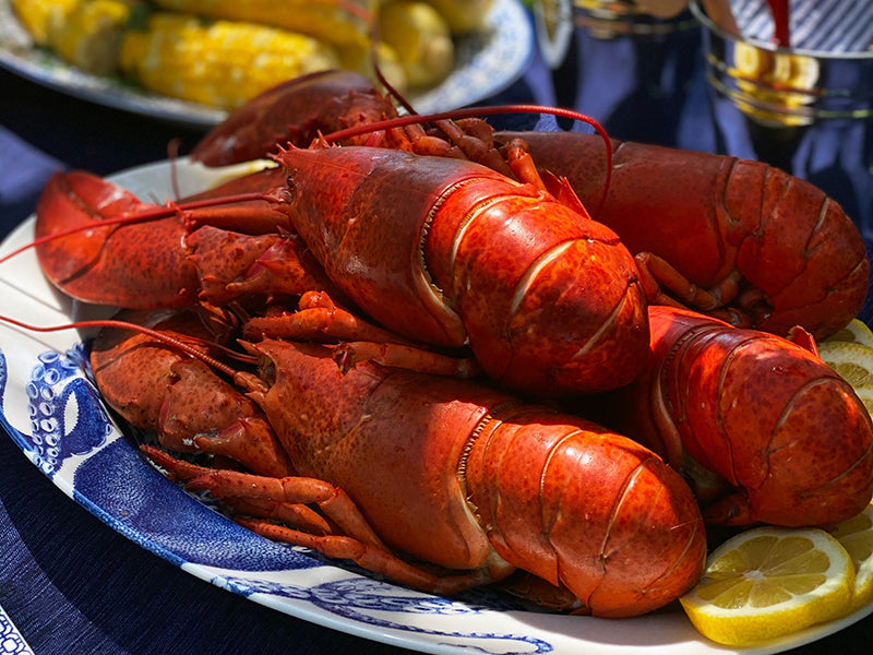 Whole Cooked Lobsters Piled High on Lucy the Octopus Rimmed Oval Platter