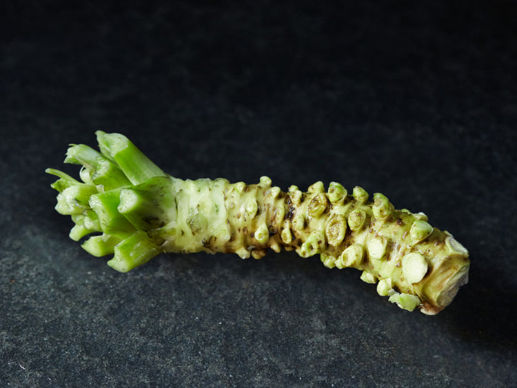 Fresh Wasabi