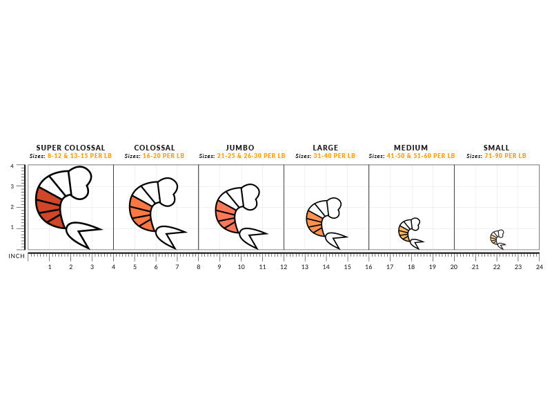 Head Off Shrimp Size Chart