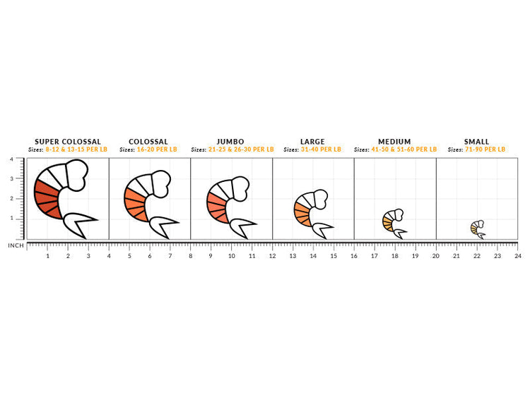 Shrimp Size Chart - Head Off