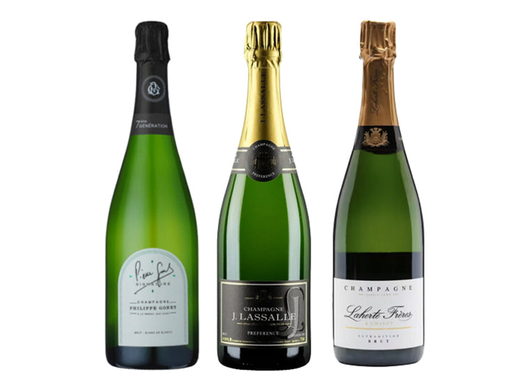 Champagne Discovery Bundle