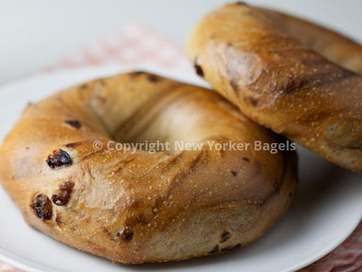 Close Up Cinnamon Raisin Bagels