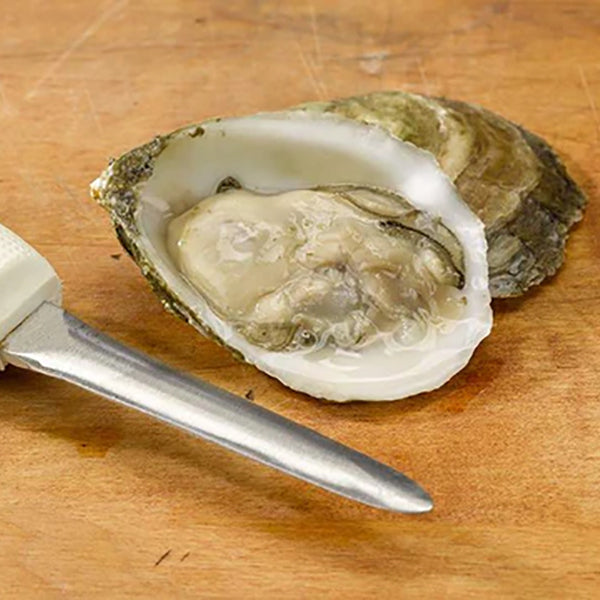 Close up of Shucked Oyster on Wood Surface