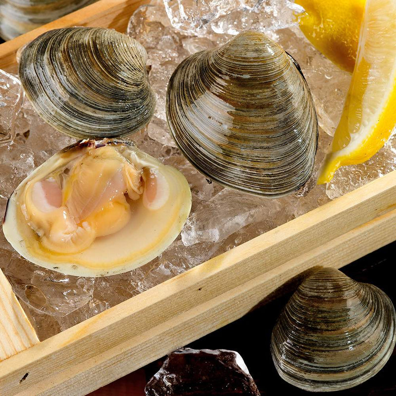 Clams on ice with lemon wedges
