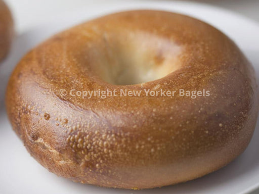 Close Up of Plain Bagel