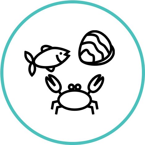 Illustrations of a fish, oyster, and crab on white background