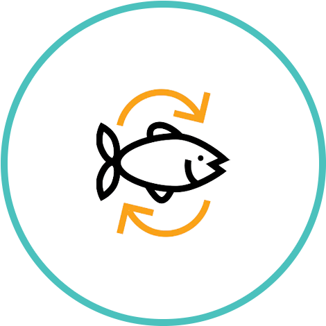 Icon of fish representing a seafood subscription