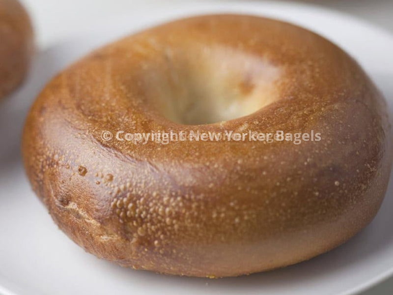 Close Up Plain Bagels