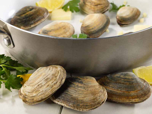 Soft Shell Steamer Clams with Skillet, Lemon and Parsley