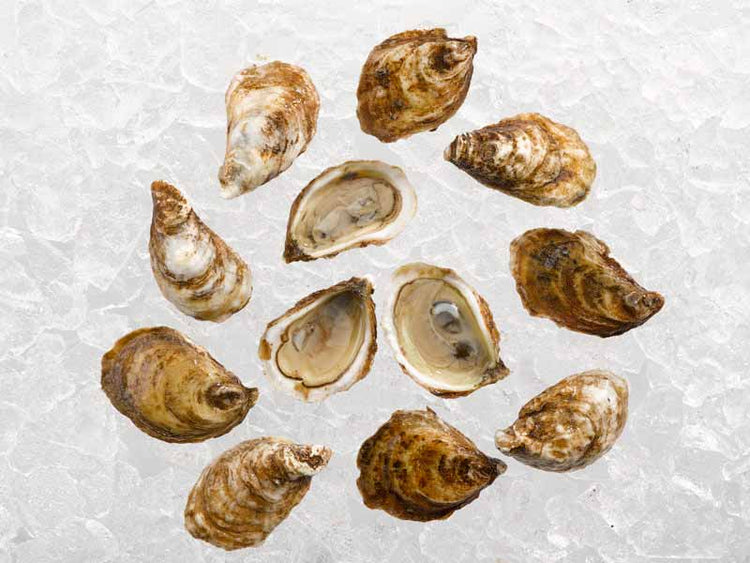 Group on Pink Moon Oysters on Ice