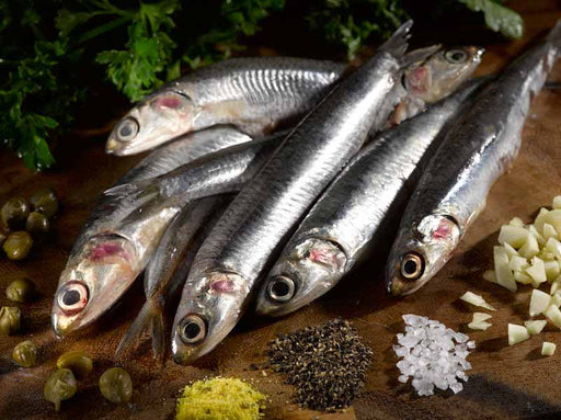 Wild Anchovies on Dark Surface with Capers, Herbs & Spices