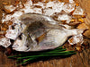 Whole Porgy on Wooden Surface with Ice and Chives