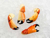 Large Stone Crab Claws on Ice