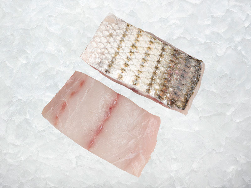 Two Wild Striped Bass Portions on Ice