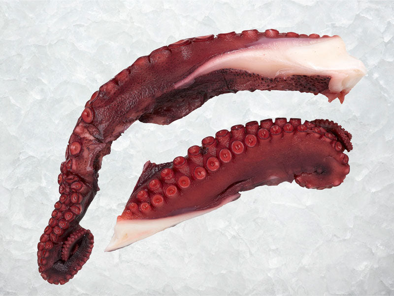 Close up of Cooked Octopus Tentacles on Ice