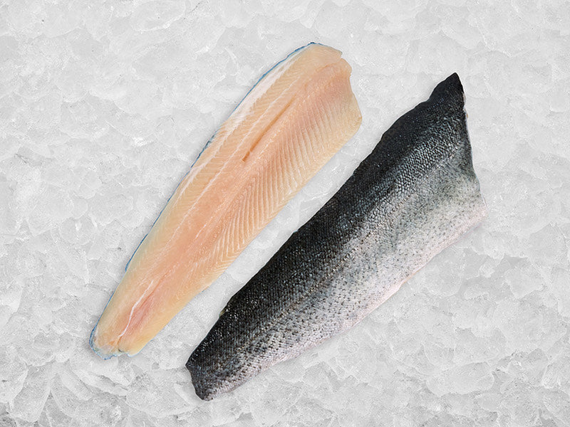 Rainbow Trout Fillets on Ice