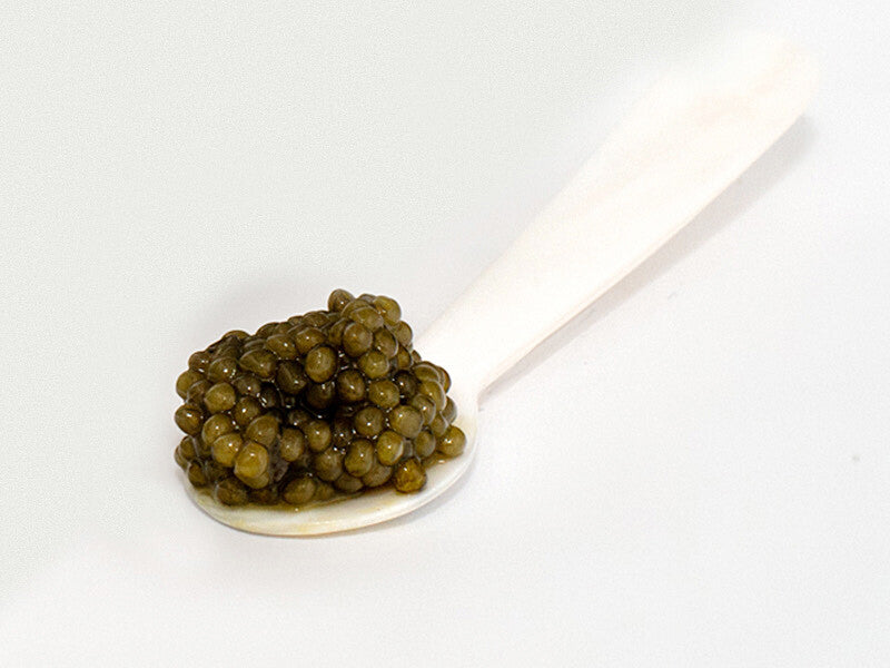 Classic Osetra Caviar on Mother of Pearl Spoon