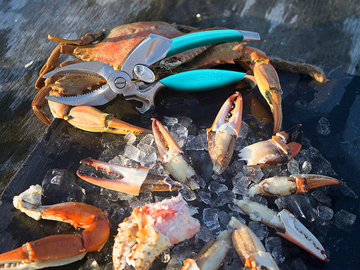 Toadfish Crab Cutter with Cut Crab Claws 