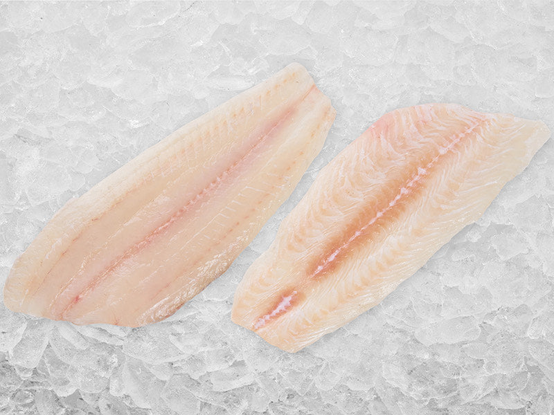 Dover Sole Fillets on Ice