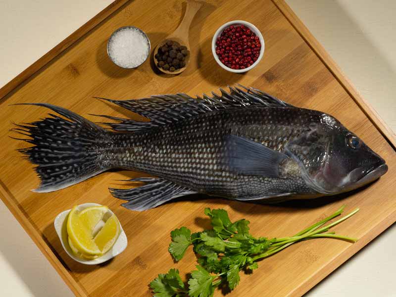 Whole Black Sea Bass on Wood Board with Lemons, Herbs and Spices