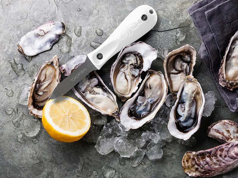 Toadfish Oyster Knife on Dark Slate with Shucked Oysters and Ice Cubes