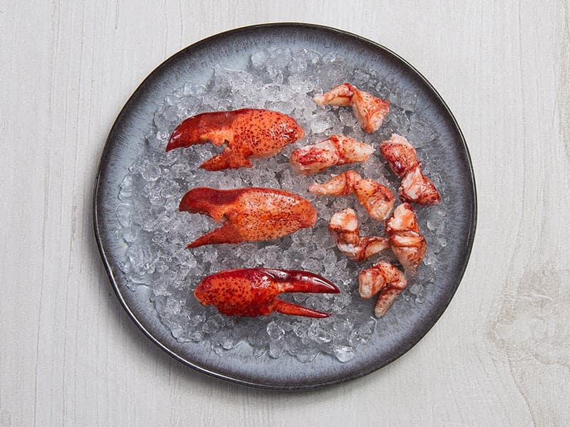 Maine Lobster Knuckle & Claw Meat in Tray on Ice